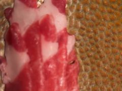 -腾格里· 蒙古山羊火锅(北京中关村店)