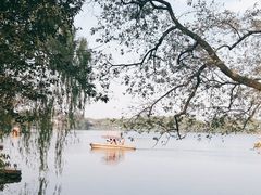 -苏堤停车场