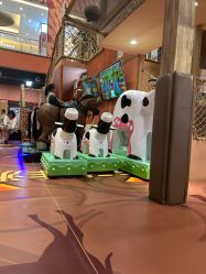 -卡通尼·Safari非洲探索乐园·生日会(金桥国际商业广场店)