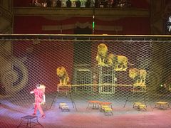 -珠海横琴长隆《卡卡虎奇遇记》