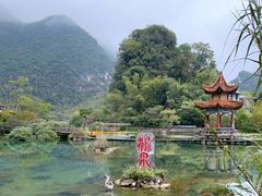 -靖西鹅泉风景区