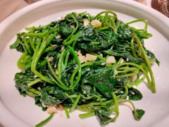蒜蓉炒番薯叶-宝园酒家(美林M·LIVE天地东座店)
