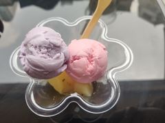 -成裕雪糕店(士多店)