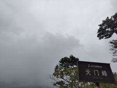 景点-大连天门山国家森林公园