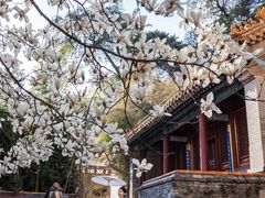 -潭柘寺景区