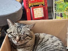 -正阳书局(西四南大街店)