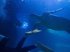 -太平洋海底世界