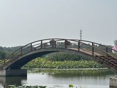 -白洋淀景区