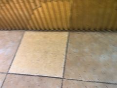 -野菌园·野生菌火锅首创第一家(关兴路总店)