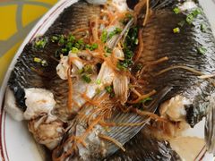 清蒸鲩鱼-大赤坎肥仔强烧味海鲜餐厅(大赤坎店)