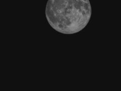 -蘭亭·新都汇
