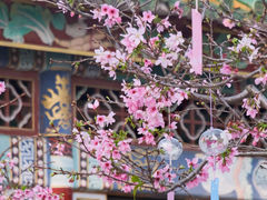 -宝墨园景区