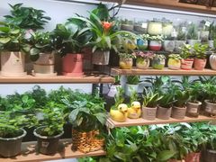 -永辉Bravo超市(东二环泰禾广场店)