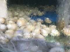 -晓伟海鲜家常菜