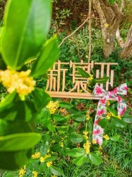 -新寰亚月子会所(金鸡湖凯宾店)