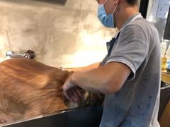 -PETKIT 小佩宠物·低压洗护·美容·寄养(安远店)