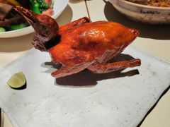 非遗红烧乳鸽-侨美食家·粤菜(体育西路店)