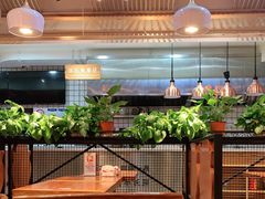 大堂-苗小坛酸汤鱼(酒仙桥店)