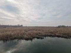 -苏州太湖湖滨国家湿地公园