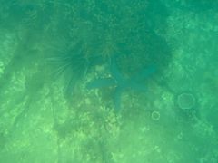 -亚龙湾海底世界