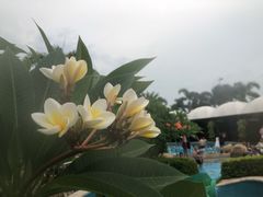 -横琴湾水世界