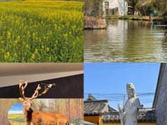 -溱湖国家湿地公园