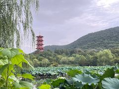 -云龙湖旅游景区