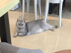 -Oasis绿洲银饰珍珠手作diy(壹方城店)
