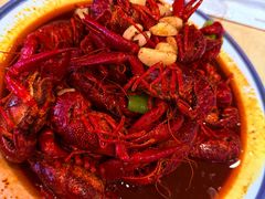 -杨氏青龙虾·羊蝎子(珠江路店)
