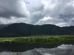 -腾冲北海湿地