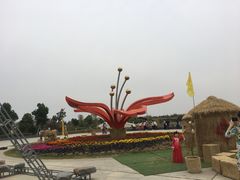 -金卉庄园