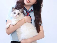 -猫遇摄影工作室