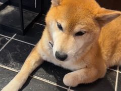 -NOTBAD 须时·咖啡馆
