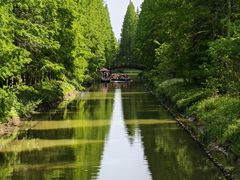 -黄海国家森林公园