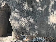 -秦皇岛野生动物园