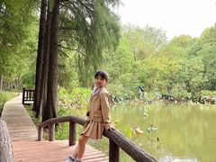 -东湖落雁景区