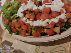 -油梨树 AVOCADO TREE(亮马桥店)