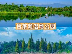 -老鼎万春卤菜(五代传承创始老店)