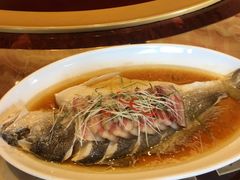 -碧丽宫大酒店(召稼楼店)