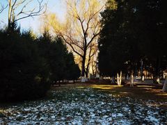 -东北大学(南湖校区)