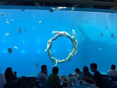 -瑞德姆美人鱼海底演艺主题餐厅(亚龙湾店)