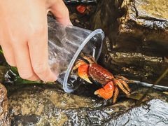 -三门江国家森林公园