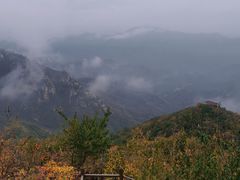 -大岭沟猕猴桃谷风景区