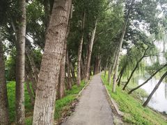 -东郊湿地公园