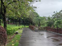 -广东花都湖国家湿地公园