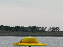 -平湖九龙山旅游度假区