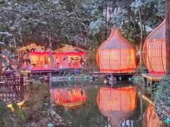 -二荆条·蜀鲜汇城市森林火锅