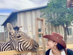 -水上乐园·欢乐世界