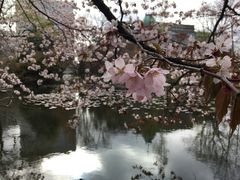 -北海道厅旧本厅舍(旧本庁舎)