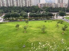 -小茶闲舍·观景商务茶馆(广州塔店)
